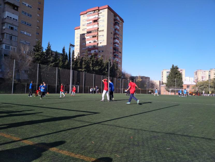 Frisbee. Valors al camp